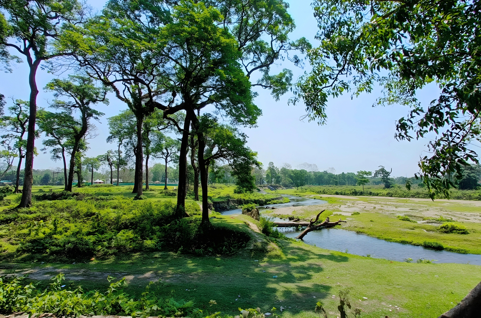 Buxa Tiger Reserve