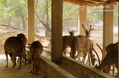 Ballavpur Wildlife Sanctuary